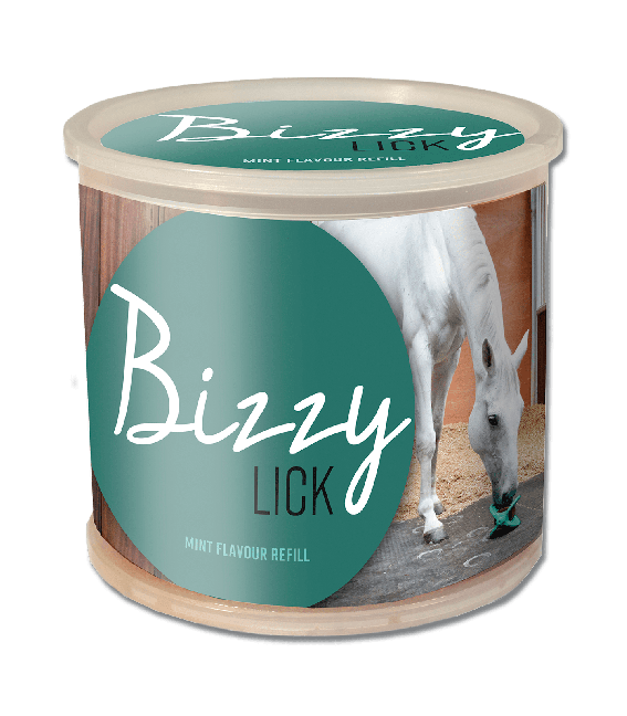 Bizzy nuolukivi