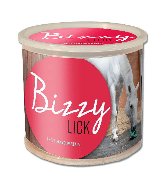 Bizzy nuolukivi