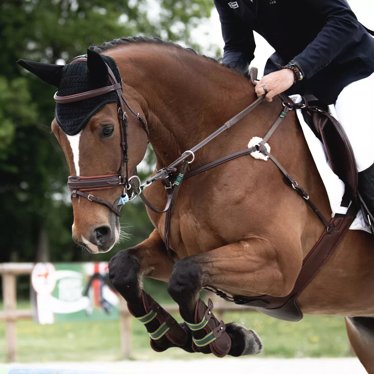 Devoucoux Biarritz Kolibri 5-piste rintaremmi martingaali